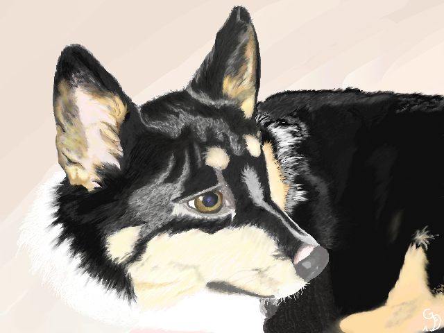 コーギーが古代エジプトにタイムスリップした話 あわきち尋祢is河内三比呂 小説投稿サイトノベルアップ