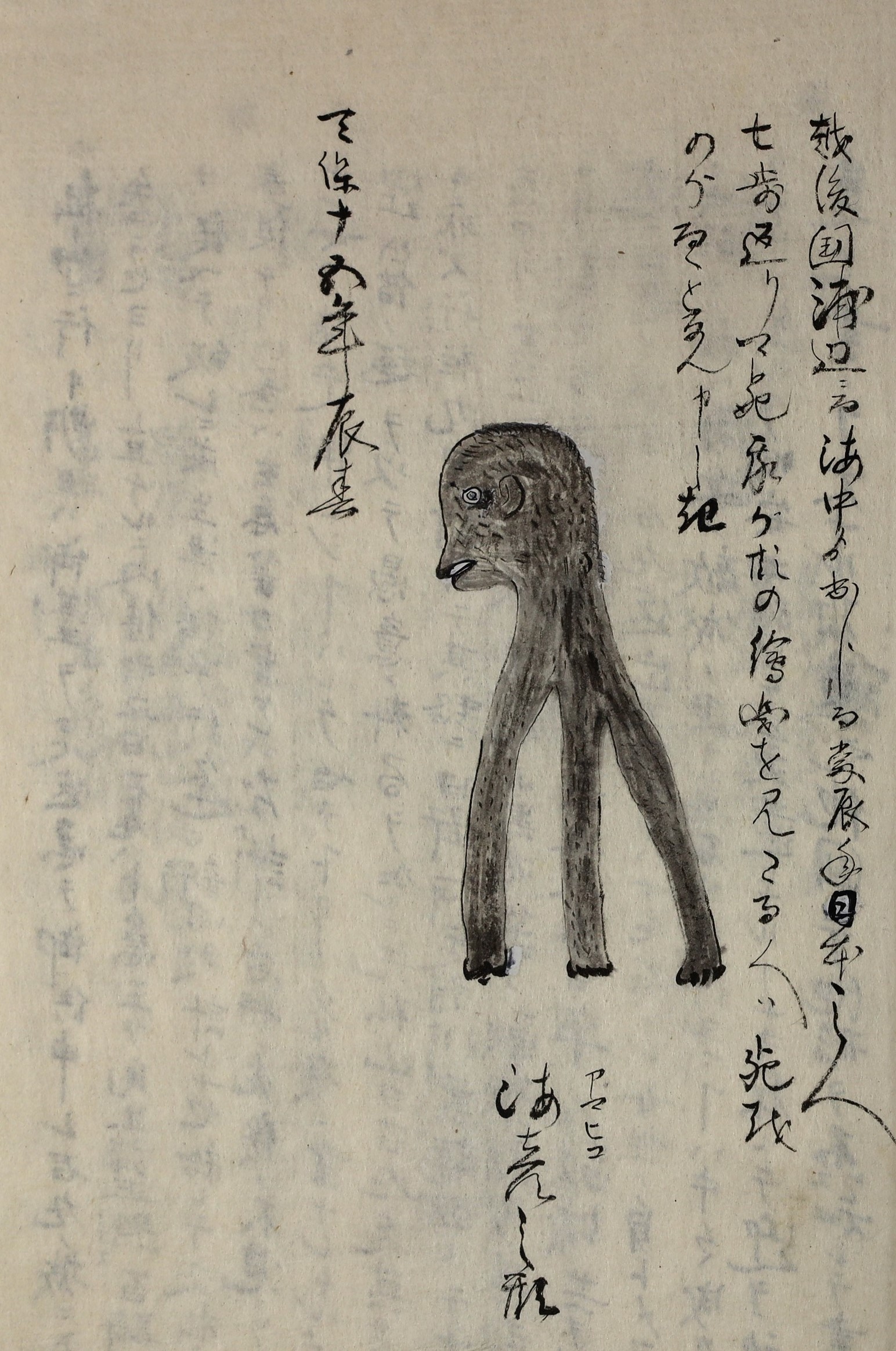 現代美少女妖怪紀行 ビキニ水着の可愛いアマビエちゃんの写真を撮ってネットで拡散しよう 白川嘘一郎 水着姿の可愛いアマビエちゃんの写真を撮ってネットで拡散しよう 小説投稿サイトノベルアップ