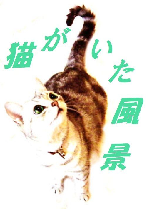 猫がいた風景 篠原 皐月 小説投稿サイトノベルアップ